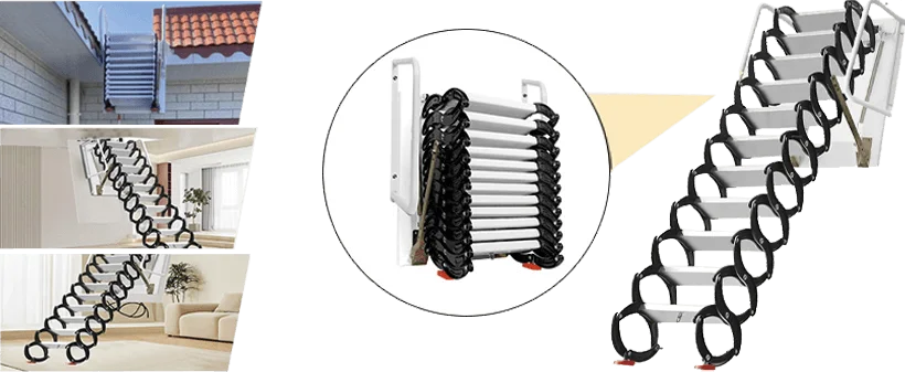 Wall Ladder