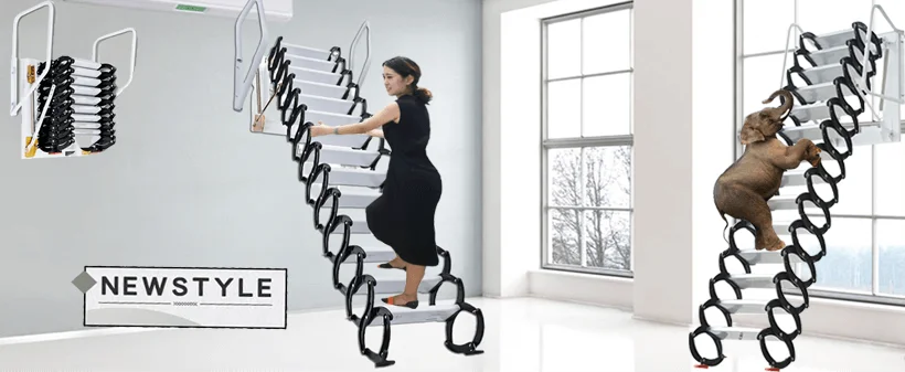 Wall Ladder